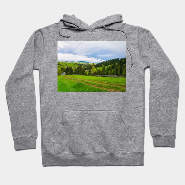 countryside Hoodie by psychoshadow